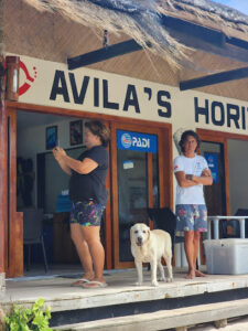 4824 avilas horizon dive resort malapascua padi 5 star 225x300