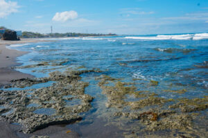 4839 surfing marker la union 300x199