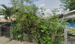 4843 goofys travel consultancy services 300x176