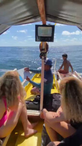 4875 rock island surf spot 170x300