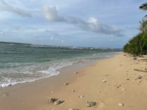 4901 apiton island 300x225