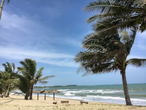 4905 langtaran grove white beach resort 300x225