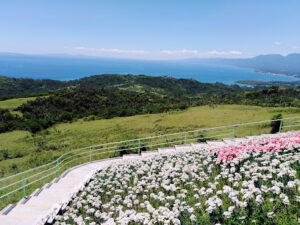 4917 lintaon peak 300x225