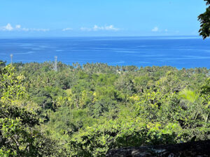 4921 hindang cave and wild monkeys 300x225