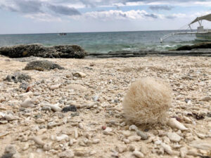 4927 pangas falls 300x225