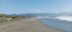 5006 bris bane beach 300x135