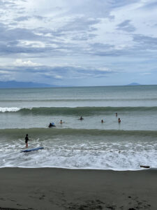 5031 baler signage 225x300