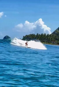 5046 the crib 205x300