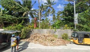 5054 little tahiti surf spot 300x176