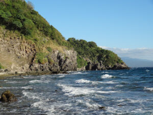 5098 apo island 300x225