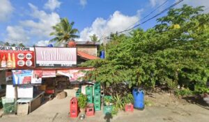 5230 siargao surfing turtles 300x176