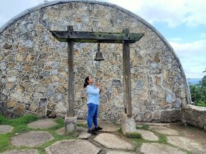 5476 tops cebu 300x225