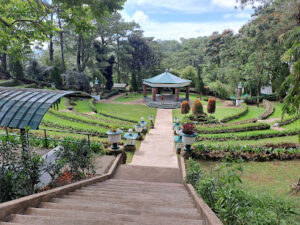 5550 cemetery of negativism 300x225