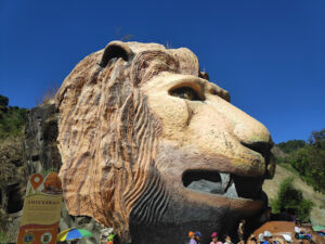 5556 lions head 300x225