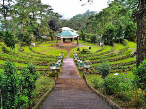 5560 bell amphitheater 300x225