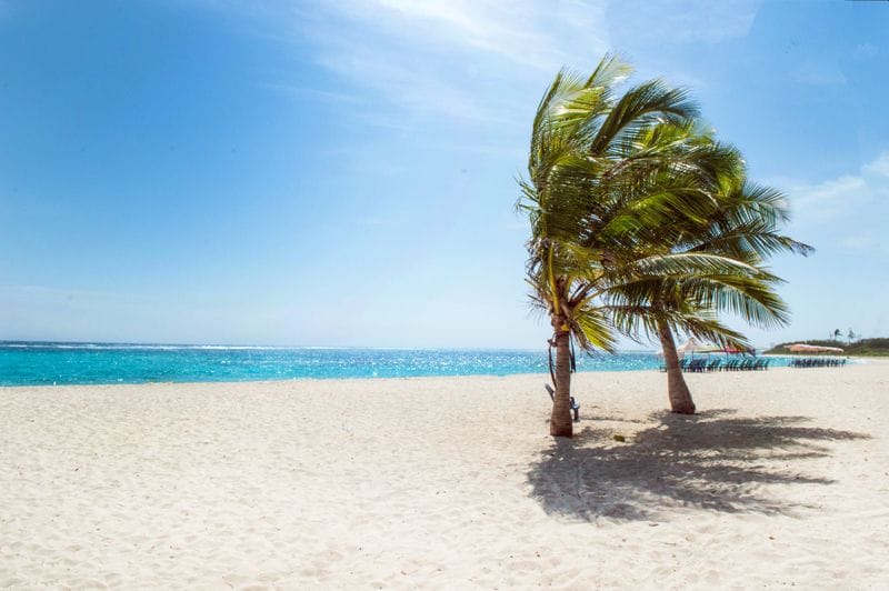 Cebu Philippines tropical island