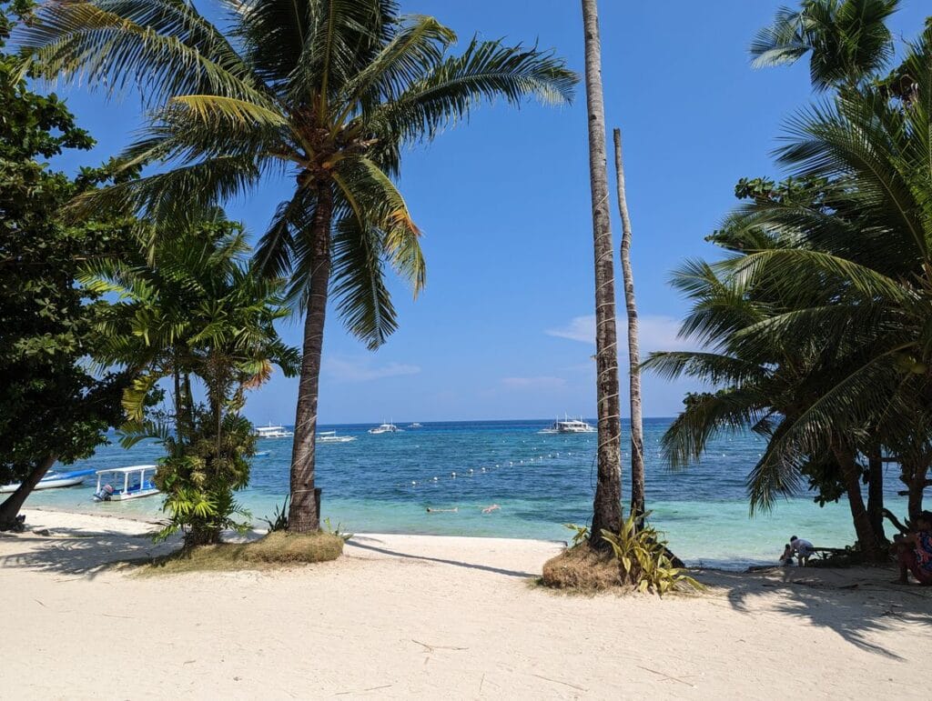 Panglao Island beach with palm trees, Philippines